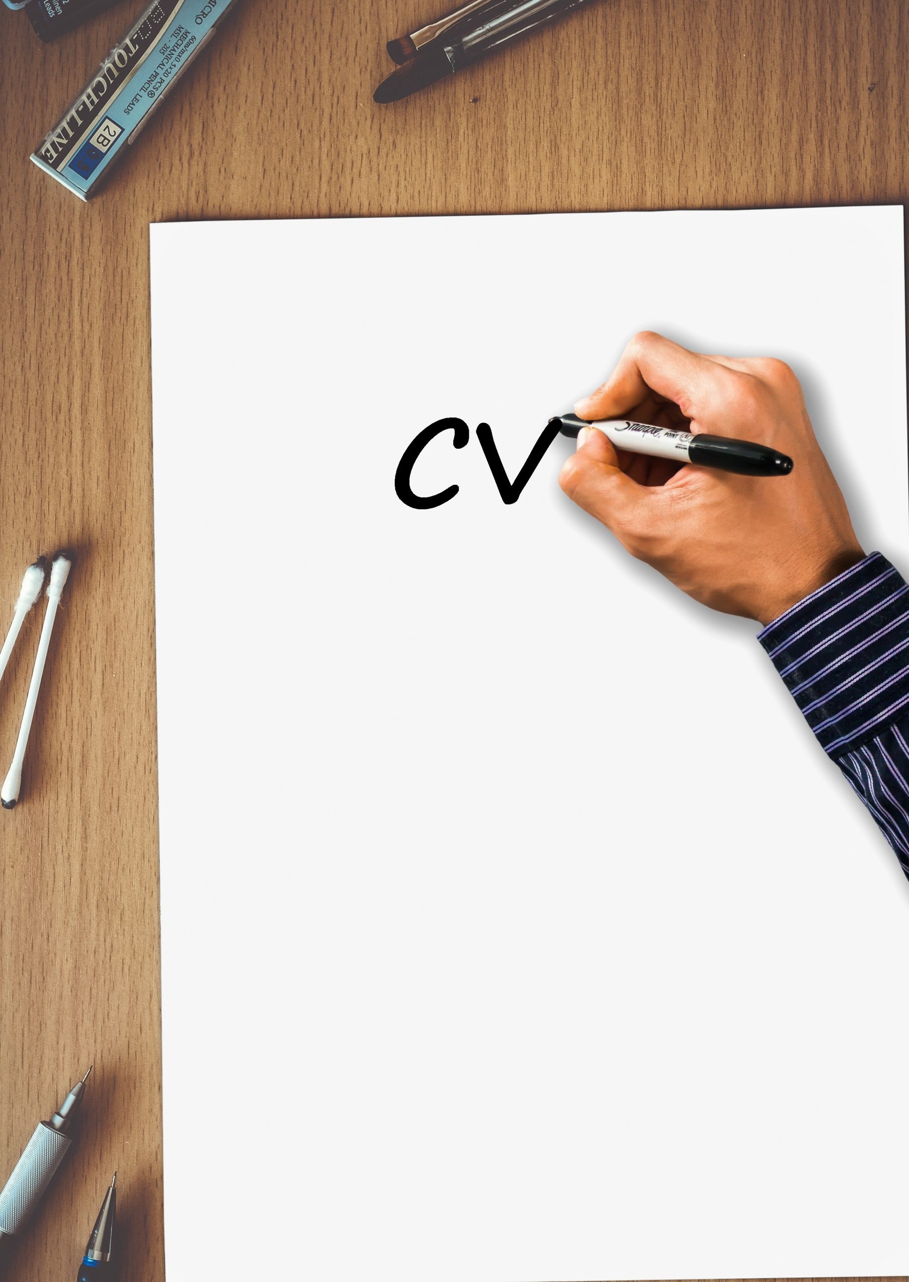tumisu-resume-2445060 cv gratuit
